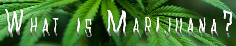 what is marijuana banner